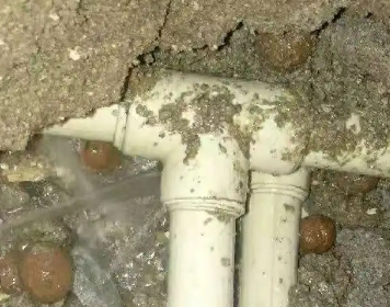 旌阳测漏水多少钱