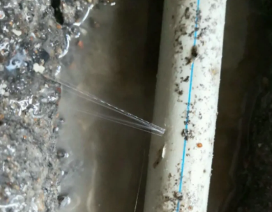 旌阳测漏水哪家好