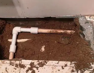 旌阳测漏水哪家好