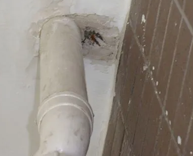 旌阳漏水检测哪家好